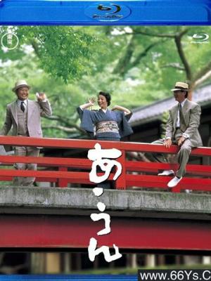雾海谜团